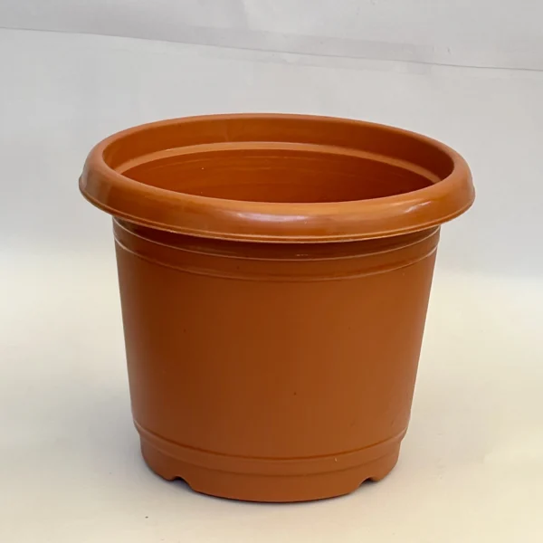 Medium Rust Colour Pot