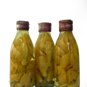 Son Chafa Flower Bottle